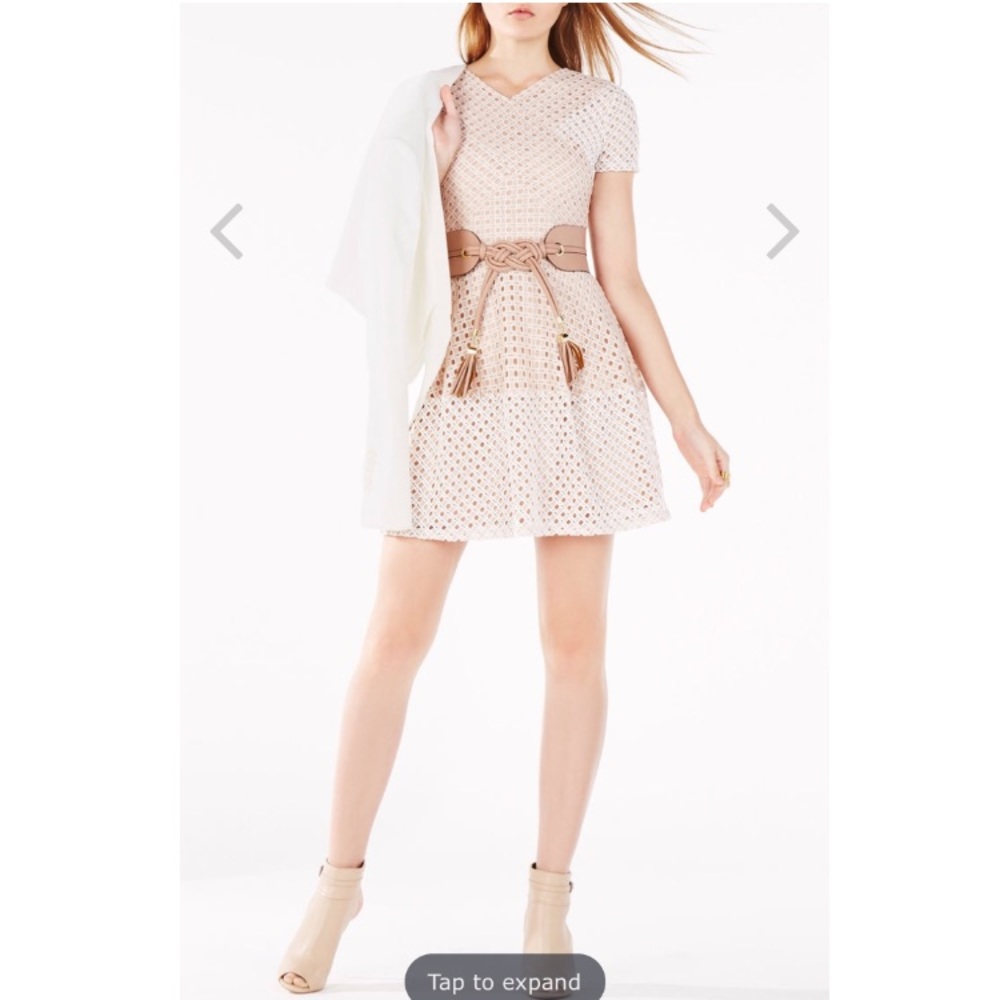 Bcbg Elyze Lace-Blocked Dress